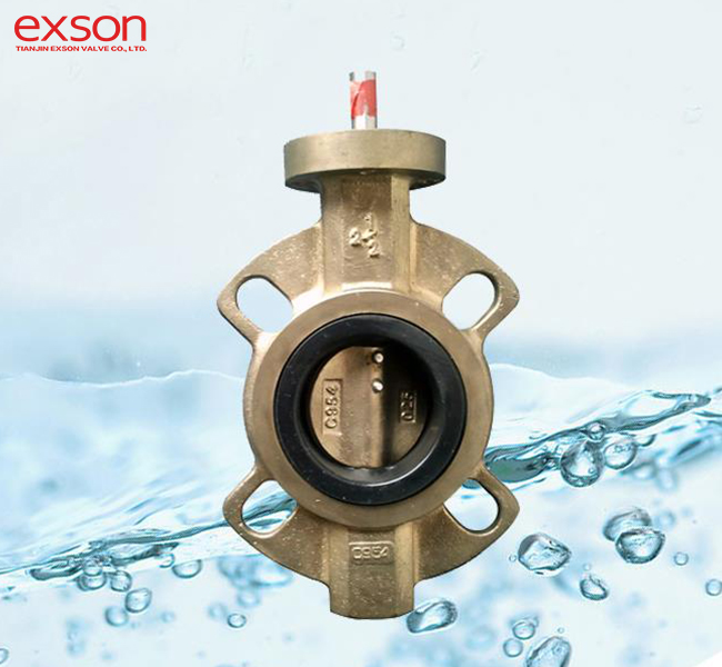 C95800 Butterfly Valves